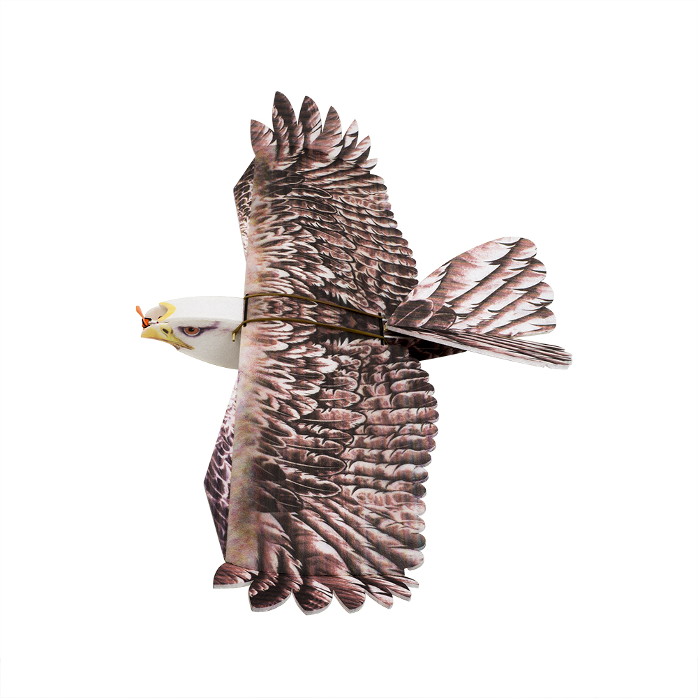 Rc Hobby Experts - DW Hobby Eagle II EPP avion