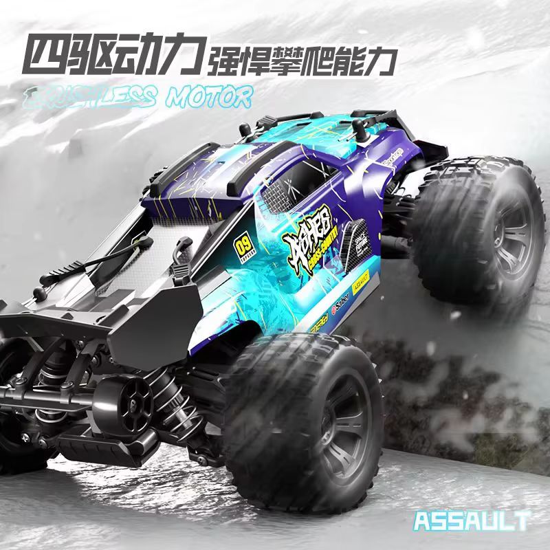 Camion tout-terrain RC 4x4 san - Rc Hobby Grade Monster Truck avis et prix