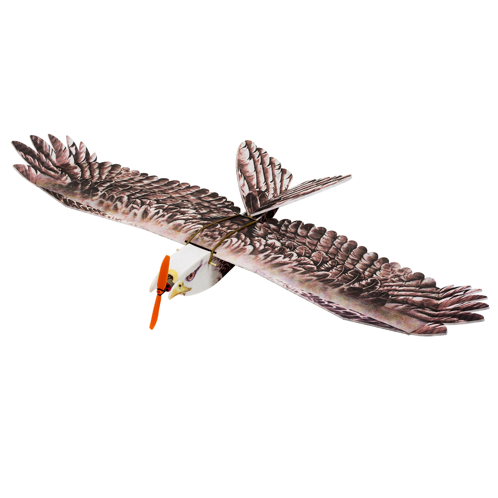 DW Hobby Eagle II EPP avion RC - Rc Hobby Experts avis et prix