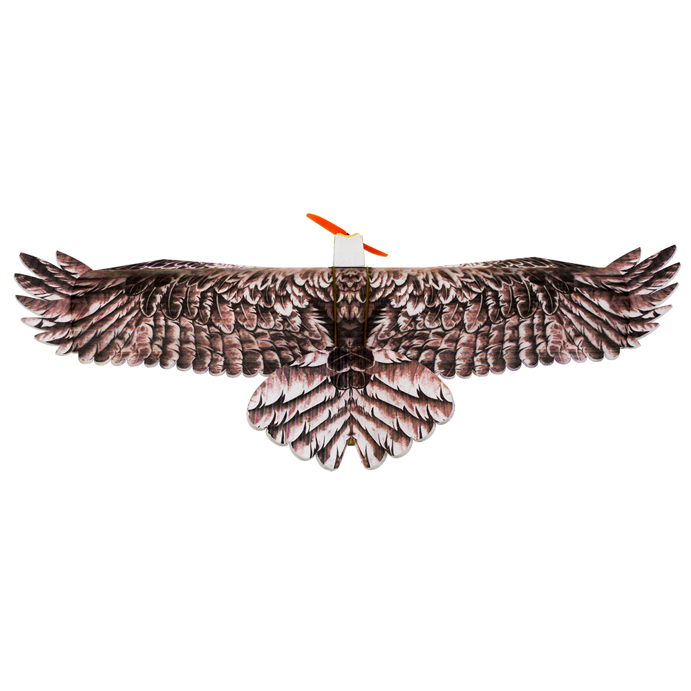 DW Hobby Eagle II EPP avion RC - Rc Hobby Experts avis et prix